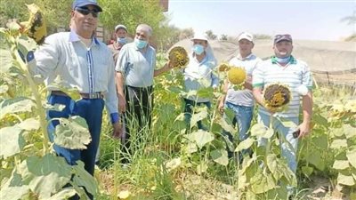 تفاصيل مشروع العيادة الزراعية للأراضي الصحراوية بالوادي الجديد