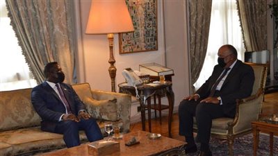 وزير الخارجية يبحث تعزيز التعاون مع نظيره السيراليوني