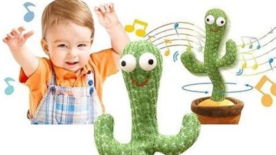 بسبب الطلب المتزايد.. 180 جنيها ارتفاعا فى سعر الصبارة الراقصة 