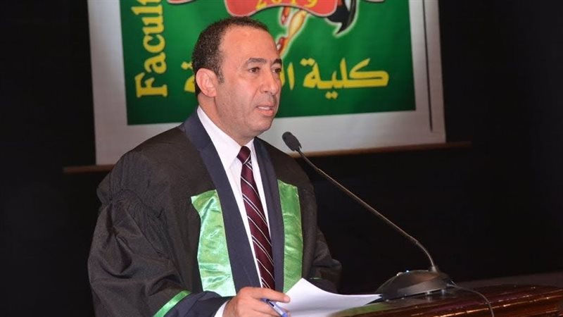 الأستاذ الدكتور عمرو