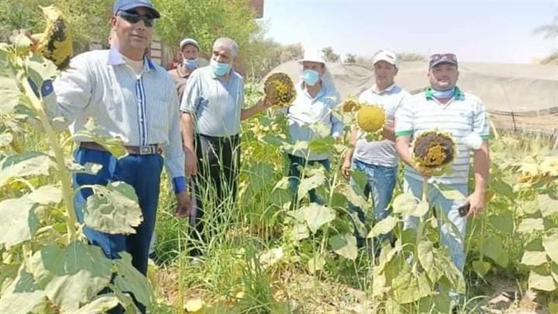 جانب من مشروع الاراضي