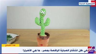 جمال فرويز يكشف حقيقة إصابة الصبارة الراقصة الأطفال بالتوحد | فيديو 