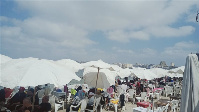 حالة الطقس في الإسكندرية