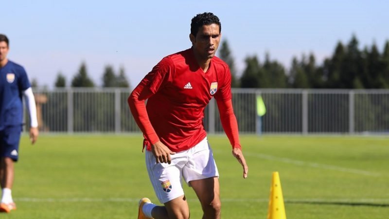 محمد نجيب