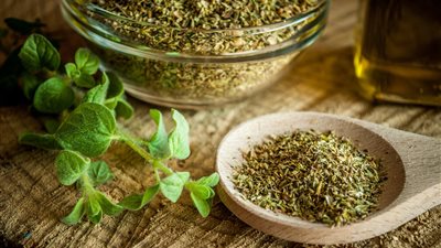 فوائد الأوريجانو، أهمها الحماية من الفيروسات وتحسين صحة الأمعاء