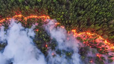 حلقة من النيران.. حرائق تلتهم وسط روسيا