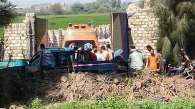 غيبوبة سكر.. تفاصيل العثور على جثة شاب أسفل شجرة بالدقهلية 