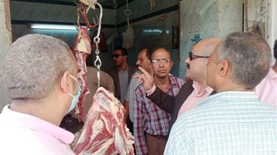 تحرير 23 مخالفة متنوعة خلال حملة رقابية بالمنيا