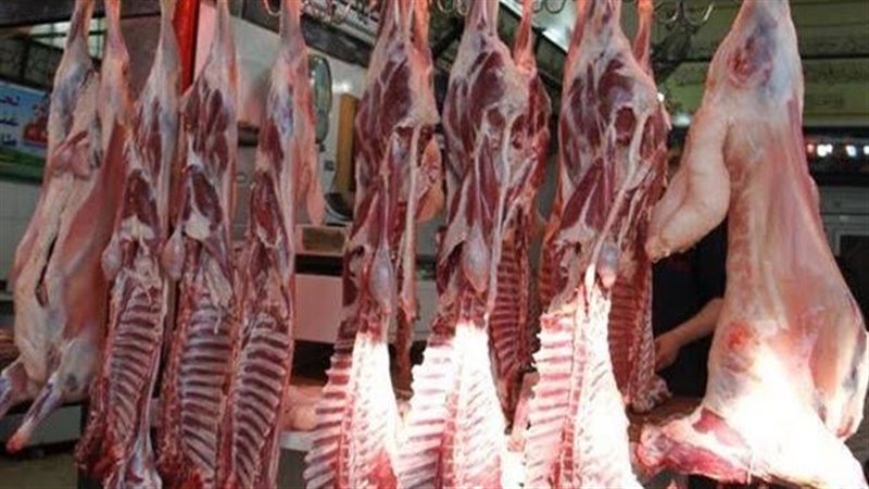 لحوم طازجة- أرشيفية