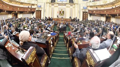 اقتراح برلماني بتخصيص منح دراسية مجانية لأبناء المناطق الحدودية بالجامعات