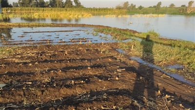 بسبب الفيضان.. رئيس مدينة بالمنوفية يطالب المواطنين بإخلاء منشآت طرح النهر