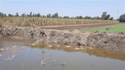 نشرة أخبار المنوفية.. العثور على جثة مجهولة.. وتحذيرات للأهالي بسبب فيضان النيل