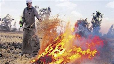 كيف يمنع القانون الجديد تصريف المخلفات الزراعية في النيل؟