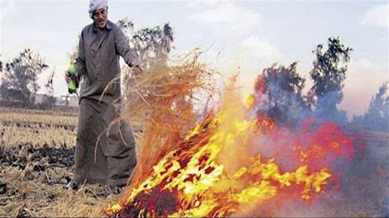 المخلفات الزراعية،