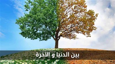 آية أحمد محمود تكتب: بين الدنيا والآخرة