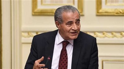 التموين: إتاحة ٦خدمات للسجل التجاري على بوابة مصر الرقمية