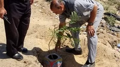 تعرف على آخر تطورات المبادرة الرئاسية لزراعة 