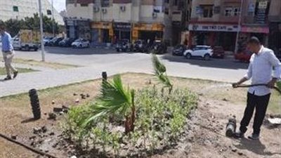 محافظ الإسكندرية: زراعة 5600 شجرة بالشوارع والميادين 