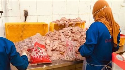 تحرير 6 جنح شؤون بيئة فى بلبيس بمحافظة الشرقية 