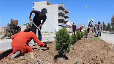 التنمية المحلية: نستهدف زراعة 100 مليون شجرة بالطرق والمحاور الرئيسية والفرعية
