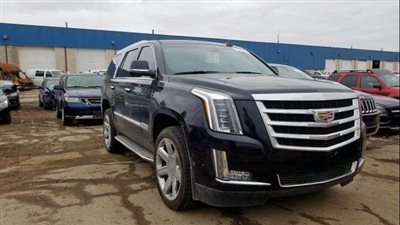 أهم السيارات المشاركة في مزاد جمارك سفاجا والسويس 