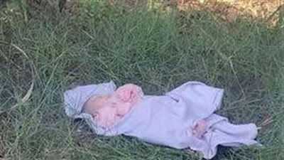 العثور على طفل حديث الولادة ملقى داخل الأراضي الزراعية ببني سويف