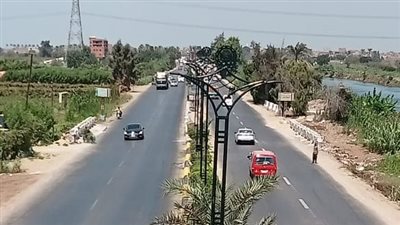 جهود مكثفة لزيادة المساحات الخضراء وزراعة الأشجار بالدقهلية