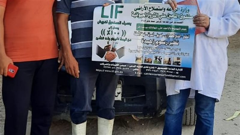 تحصين 83 % من الماشية