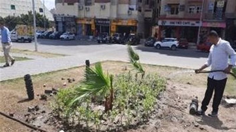 الاسكندريه 