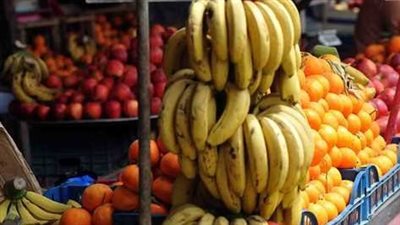 تراجع العنب والمانجو.. أسعار الفاكهة اليوم الخميس 15-9-2022 في الدقهلية