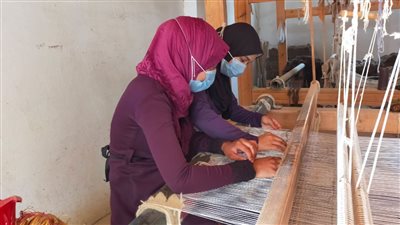 القوى العاملة: تدريب الفتيات على صناعة السجاد بالوادي الجديد