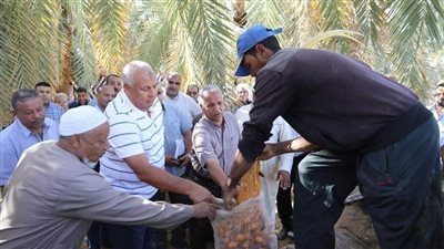  محافظ الوادي الجديد يُطلق المبادرة المجتمعية 