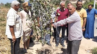 زراعة 150 شجرة بالبداري ضمن حملات التشجير بأسيوط 