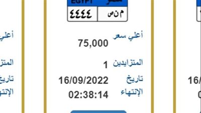 تصل نحو 400 ألف جنيه متوسط أسعار اللوحات المعدنية للسيارات 