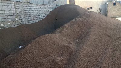 تموين الإسكندرية تضبط ٥٦ طن قمح مستورد منتهي الصلاحية