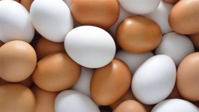 الغرفة التجارية تكشف السبب الرئيسي لارتفاع أسعار البيض والدواجن| فيديو