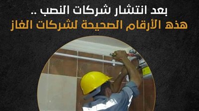 بعد انتشار شركات النصب.. هذه الأرقام الصحيحة لشركات الغاز | إنفوجراف 