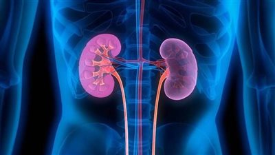 نصيحة مهمة من وزارة الصحة للحماية من أمراض الكلى 