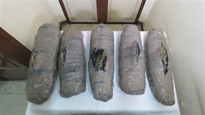 سقوط اثنين من العناصر الإجرامية بحوزتهما كمية من البانجو بالأقصر