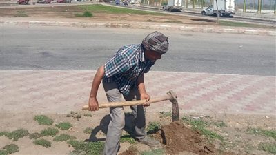 انطلاق حملات تشجير ونظافة وتوعية بالوليدية وقناطر أسيوط الجديدة 