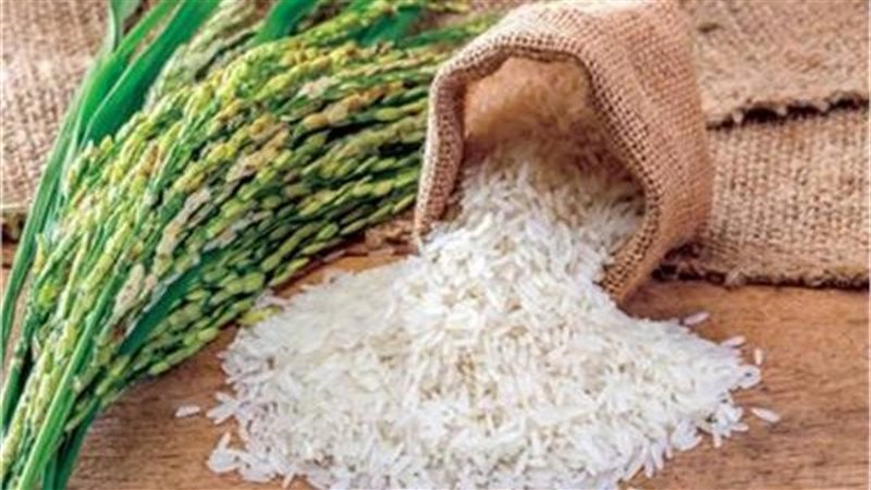توريد الأرز