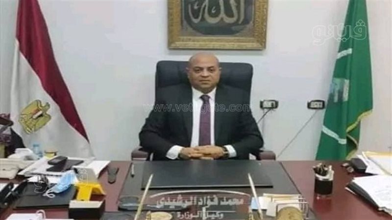 محمد فؤاد الرشيدى