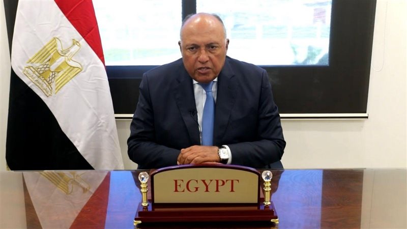 سامح شكري وزير الخارجية