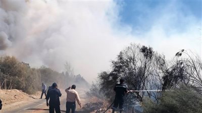 محافظ سوهاج يتابع عملية إطفاء حريق بمزرعة في أخميم