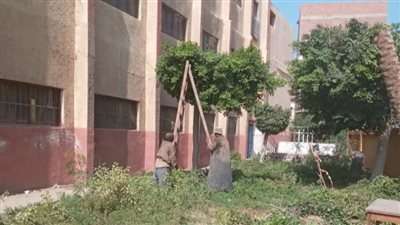 مدارس بني سويف تستعد للعام الدراسي الجديد بفرش الفصول وتهذيب أشجار الحدائق | صور
