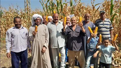 الذرة الشامية وفول الصويا.. محاصيل صيفية تدخل الفرحة على الفلاحين ببني سويف | صور