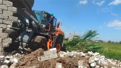 إزالة 115حالة تعد ضمن المرحلة الثانية من الموجة 20 بالغربية