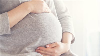 تفسير رؤية الحمل في المنام وعلاقته بزيادة المال والرزق الكثير