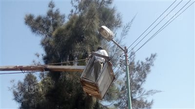 ترشيد الكهرباء في 48026 عمودا بالطرق والشوارع والميادين بالغربية
