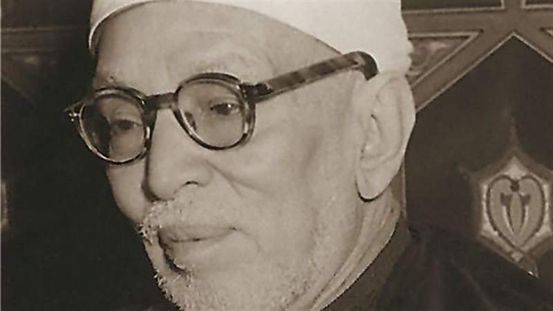 الشيخ محمد الخضر